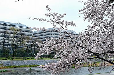 京都府立医科大学附属病院