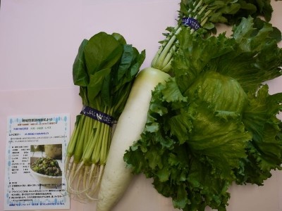 JA神奈川県厚生連 伊勢原協同病院 福利厚生3